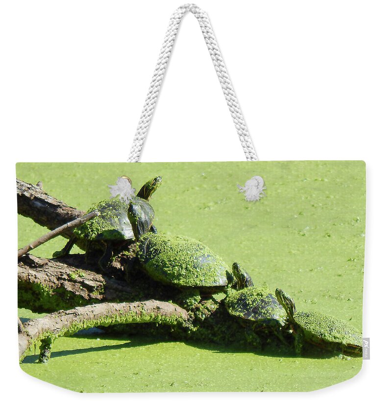 Painted Turtle Weekender Tote Bag featuring the photograph Chain Sunning by Wild Thing