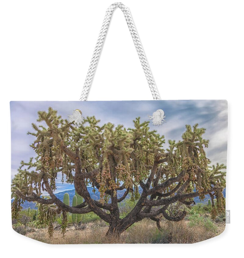 Chain-fruit Cholla Weekender Tote Bag featuring the photograph Chained-fruit Cholla by Jonathan Nguyen