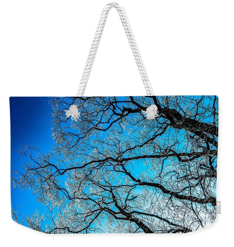 Abstract Weekender Tote Bag featuring the photograph Chaotic System Of Ice Covered Tree Branches With Blue Sky by Andreas Berthold