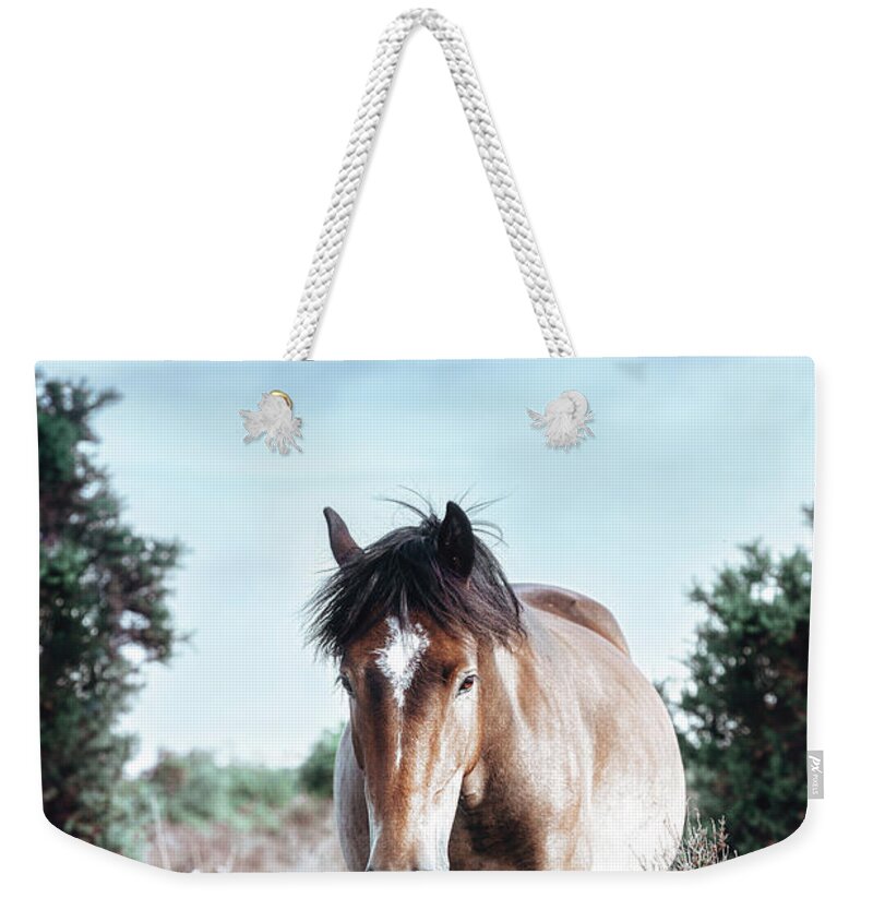 Horse Weekender Tote Bag featuring the photograph Charles - Horse Art by Lisa Saint