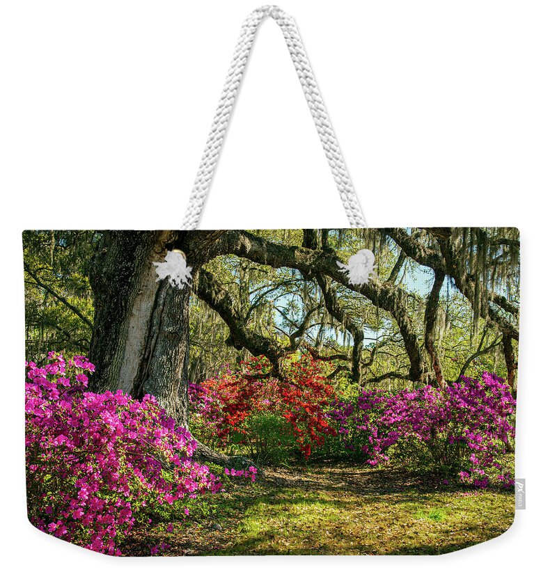 Blooms Weekender Tote Bag featuring the photograph Charleston SC Walking Into Spring Landscape by Robert Stephens