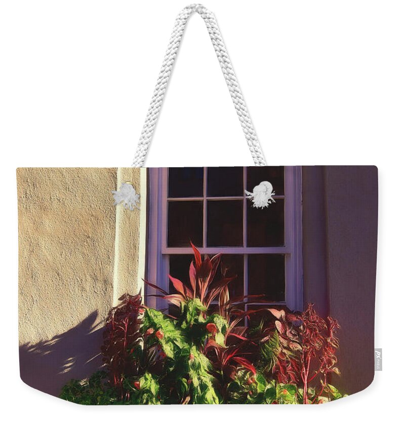 Charleston Weekender Tote Bag featuring the photograph Charleston Window Box by Kathy Baccari