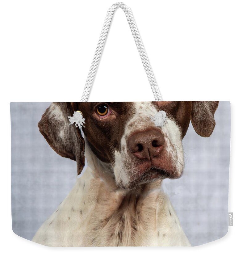 January2020 Weekender Tote Bag featuring the photograph Charlie 1 by Rebecca Cozart