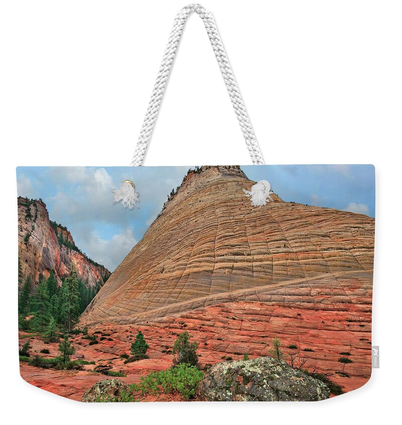 00555583 Weekender Tote Bag featuring the photograph Checkerboard Mesa, Zion by Tim Fitzharris