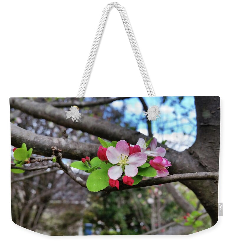  Weekender Tote Bag featuring the photograph Cherry Blossom by Heather E Harman