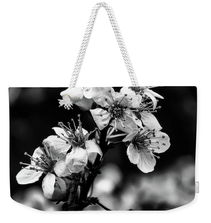 Cherry Blossoms Weekender Tote Bag featuring the photograph Cherry Blossoms BW by Flees Photos