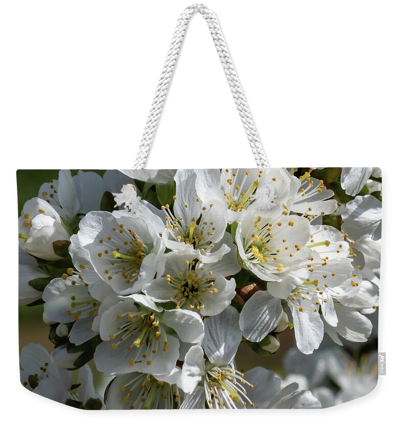 Cherry Weekender Tote Bag featuring the photograph Cherry Blossoms in the Willamette Valley by Leslie Struxness