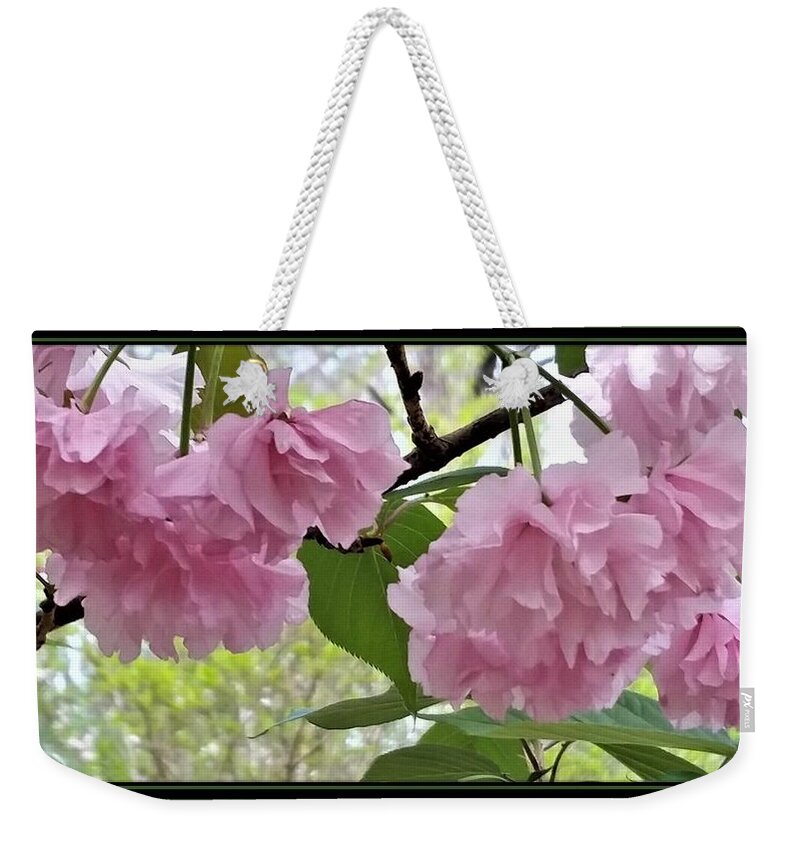 Cherry Blossoms Weekender Tote Bag featuring the photograph Cherry Blossoms by Nancy Ayanna Wyatt