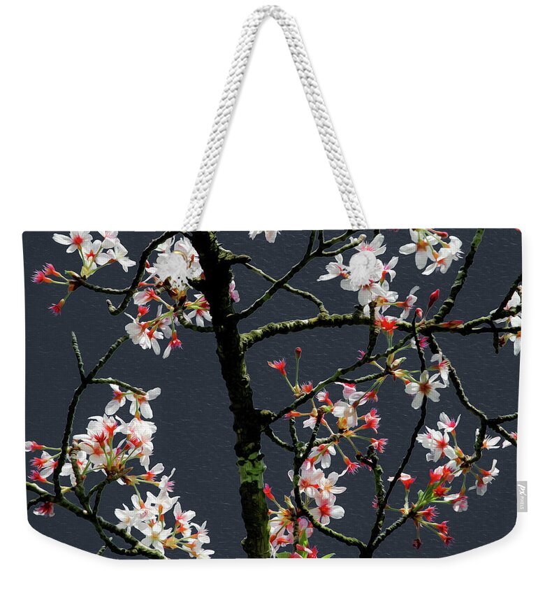 Bonnie Follett Weekender Tote Bag featuring the photograph Cherry Blossoms on Dark Bkgrd by Bonnie Follett