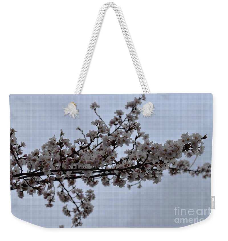 Cherry Blossoms Weekender Tote Bag featuring the photograph Cherry Blossoms Tree Branch by Stefania Caracciolo