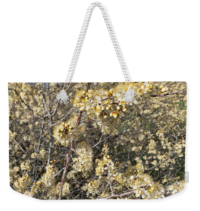 Cherry Creek Weekender Tote Bag featuring the photograph Cherry Creek Trail Spring 2021 Study 4 by Robert Meyers-Lussier