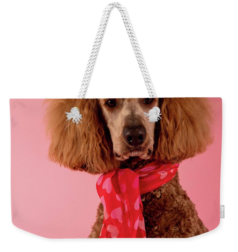 Chester Weekender Tote Bag featuring the photograph Chester Valentine's by Rebecca Cozart