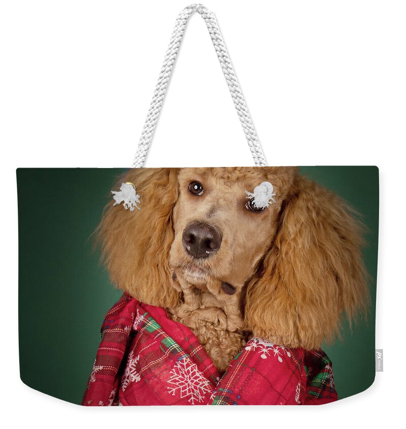 Chester Weekender Tote Bag featuring the photograph Chester Xmas 5 Square by Rebecca Cozart