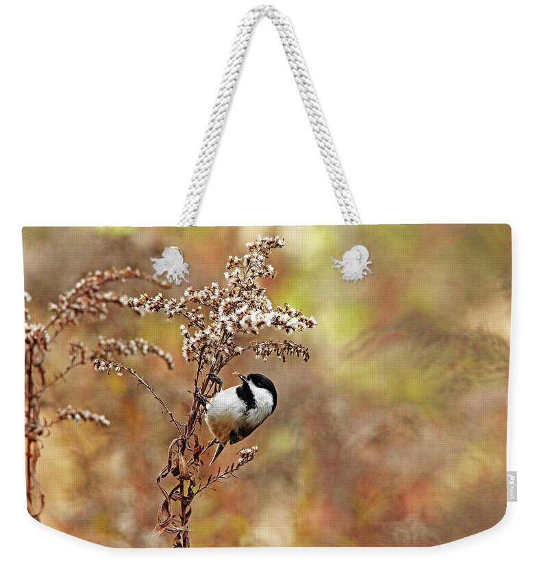 Chickadee Weekender Tote Bag featuring the photograph Chickadee At Goldenrod Feeder by Debbie Oppermann