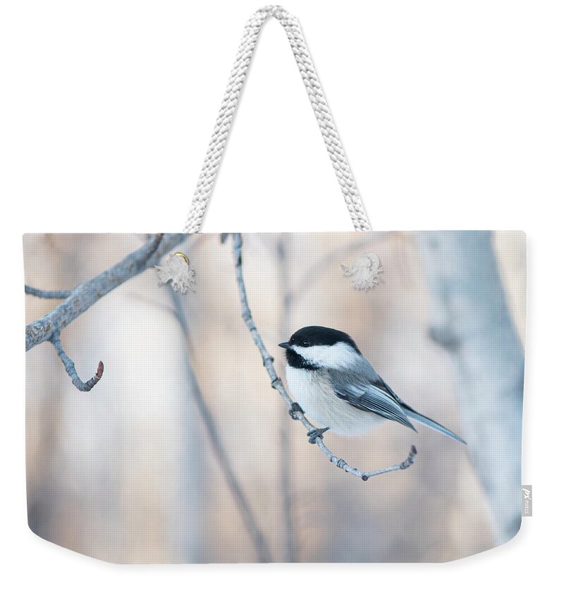 Chickadee Weekender Tote Bag featuring the photograph Chickadee by Karen Rispin