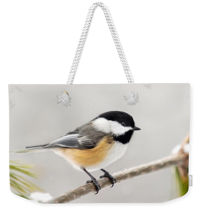 Chickadee Weekender Tote Bag featuring the mixed media Chickadee Painting by Christina Rollo