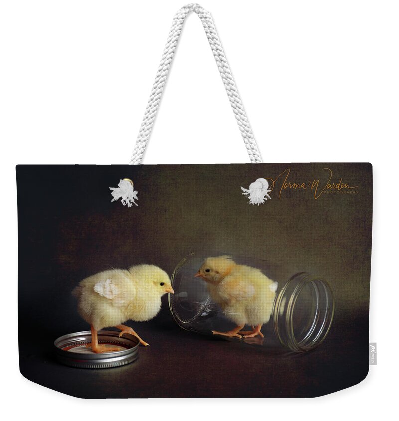 Chicks Weekender Tote Bag featuring the photograph Chicks Series - Yellow Chick with Jar by Norma Warden