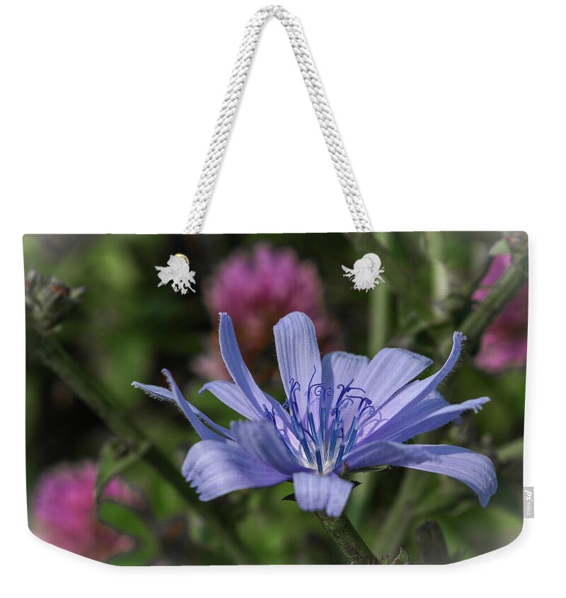 Chicory Weekender Tote Bag featuring the photograph Chicory and Red Clover by Tana Reiff