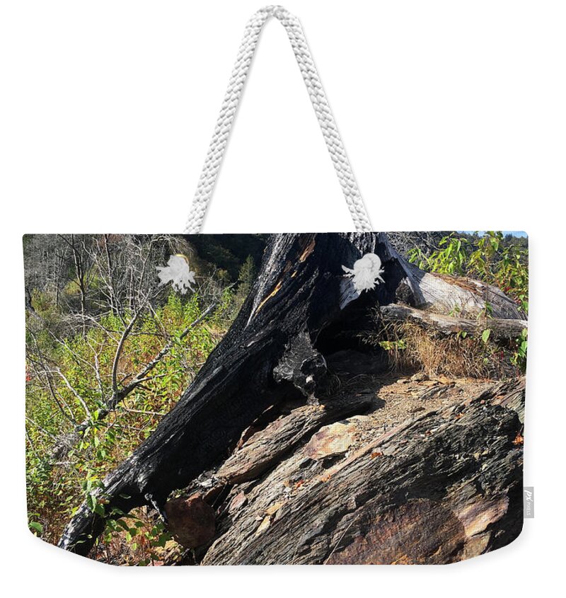 Chimney Tops Weekender Tote Bag featuring the photograph Chimney Tops 20 by Phil Perkins