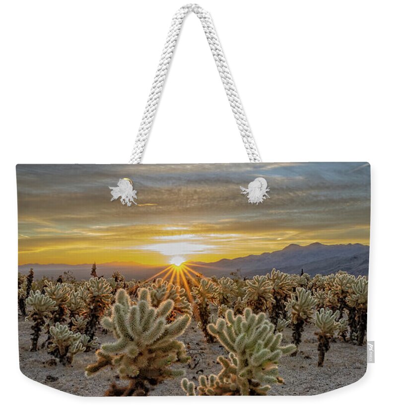 Cholla Weekender Tote Bag featuring the photograph Cholla Cactus Delight by George Buxbaum