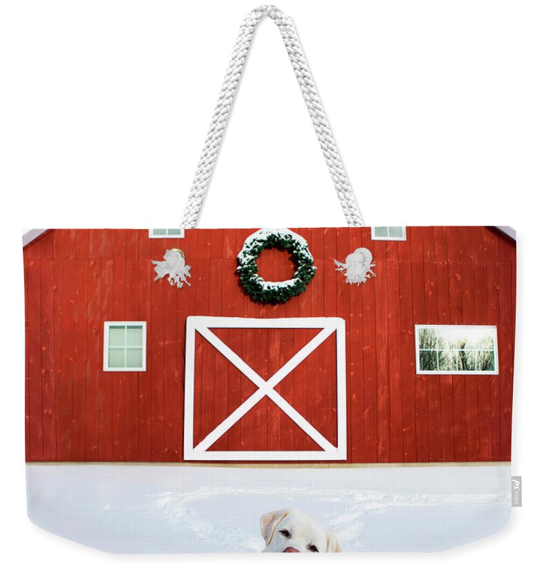 Christmas Weekender Tote Bag featuring the photograph Christmas Barn With White Labrador Retriever by Diane Diederich