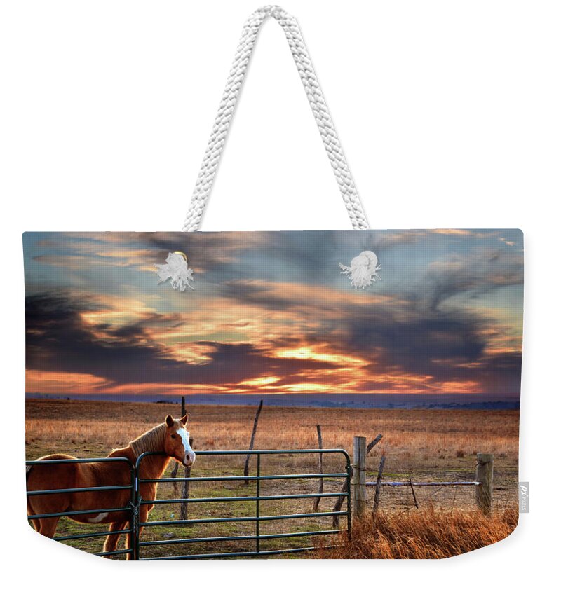 Horse Weekender Tote Bag featuring the photograph Christmas Sunset by Rod Seel