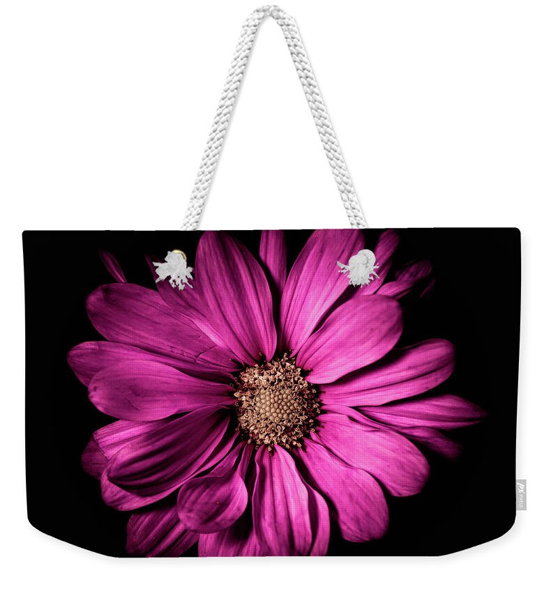 Magenta Flower Weekender Tote Bag featuring the photograph Chrysanthemum by Darcy Dietrich