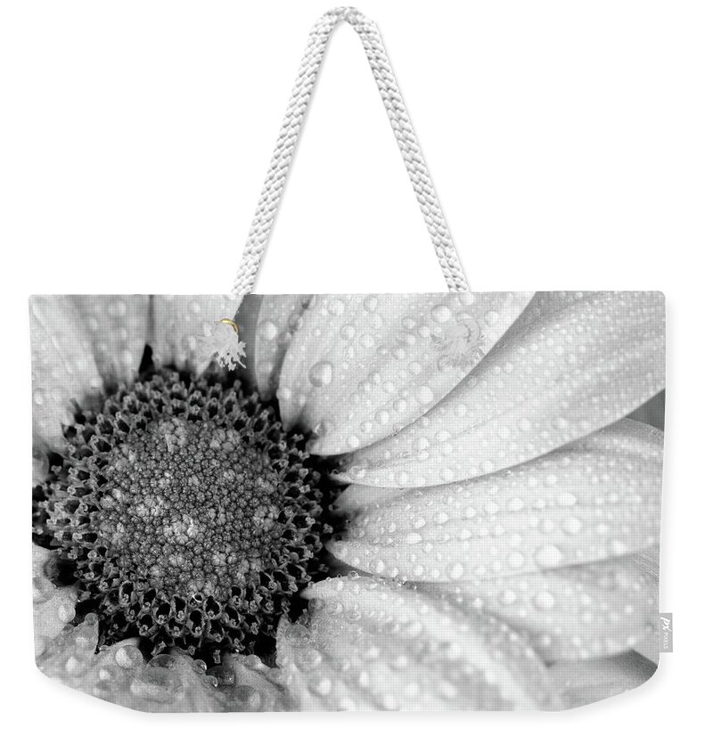 Flower Weekender Tote Bag featuring the photograph Chrysanthemum Macro bw 2 by Tanya C Smith