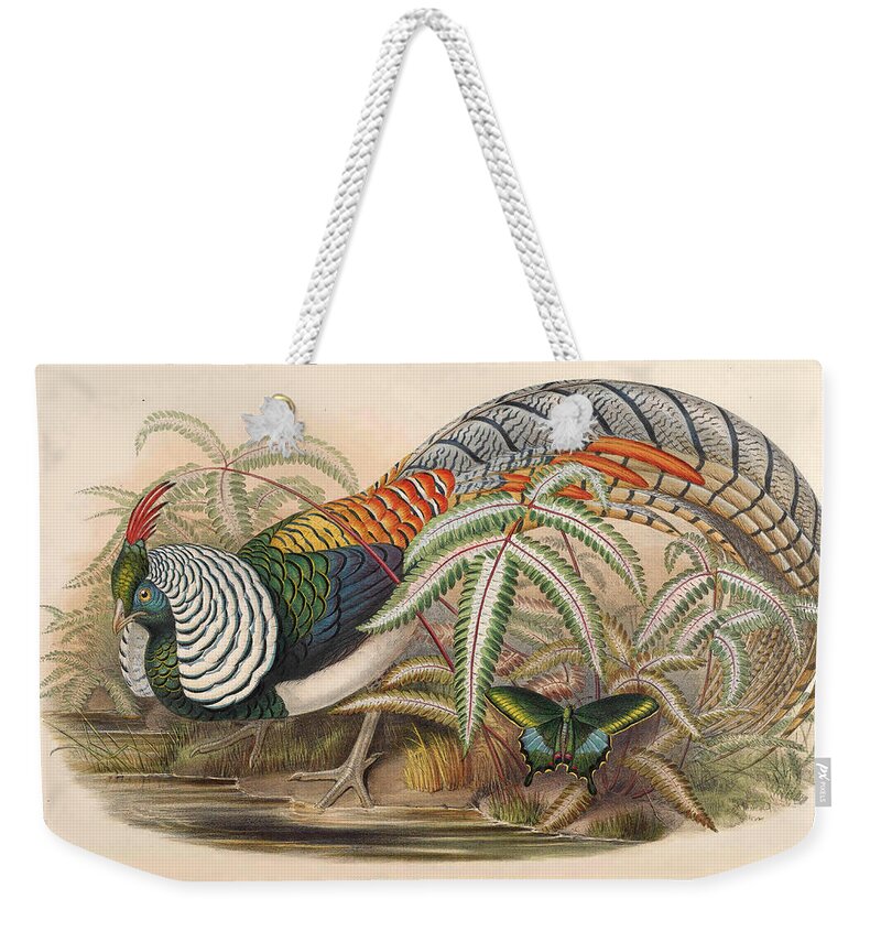 Henry Constantine Richter Weekender Tote Bag featuring the drawing Chrysolophus amherstiae by Henry Constantine Richter