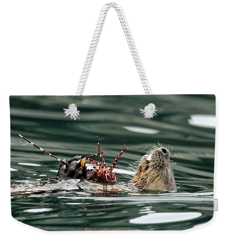 South America Weekender Tote Bag featuring the photograph Chungungo by Jennifer Robin