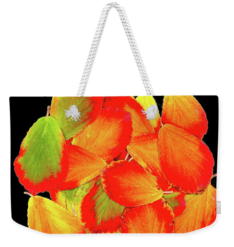 Autumn Colour Weekender Tote Bag featuring the photograph Circle by Marilyn Cornwell