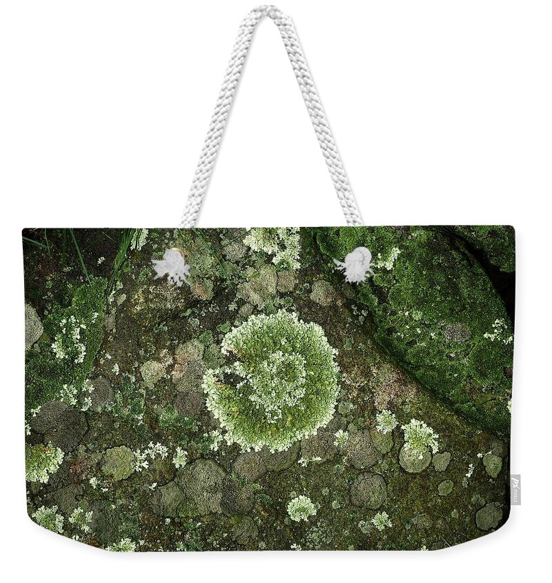 Rock Weekender Tote Bag featuring the photograph Rocks For Lichen by Alida M Haslett