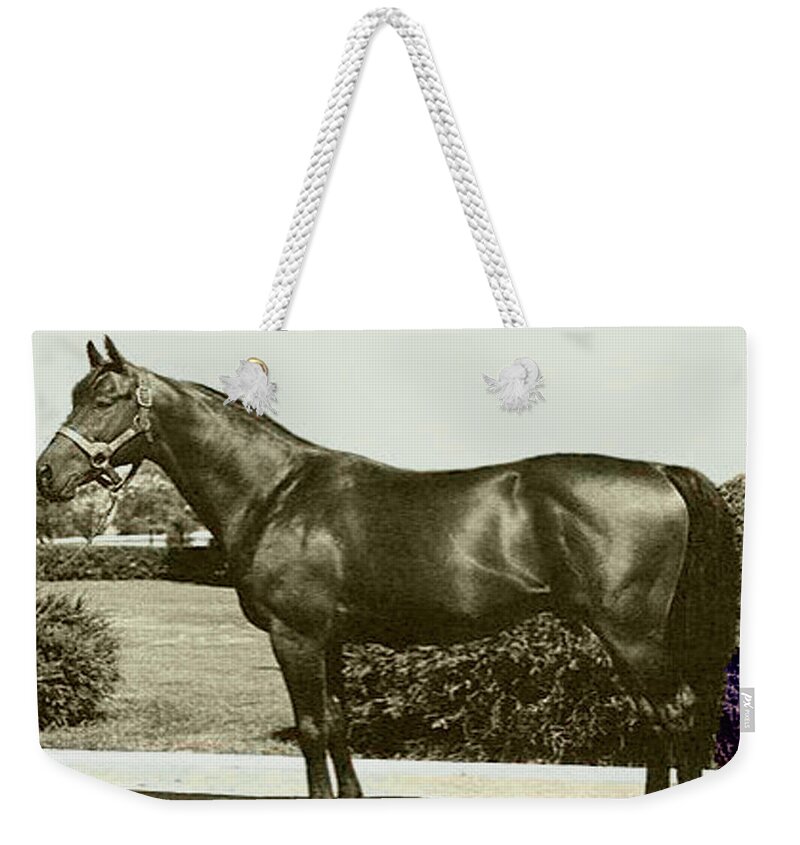 Citation Weekender Tote Bag featuring the photograph Citation by Imagery-at- Work