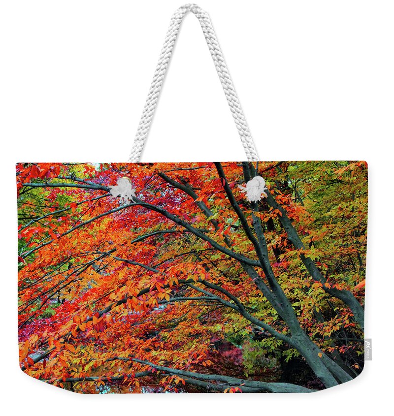 Autumn Weekender Tote Bag featuring the photograph Flickering Foliage by Jessica Jenney