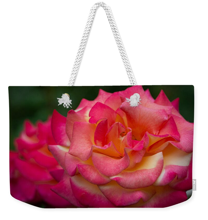 Rose Weekender Tote Bag featuring the photograph Classic Beauty with a Twist by Linda Bonaccorsi