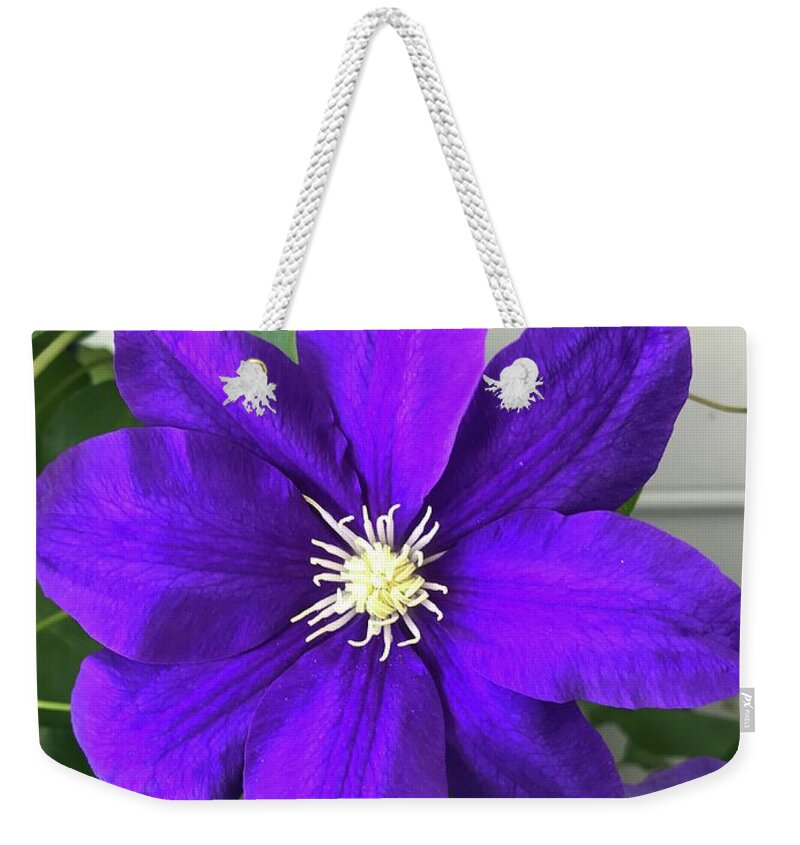  Weekender Tote Bag featuring the photograph Clematis by Stephen Dorton