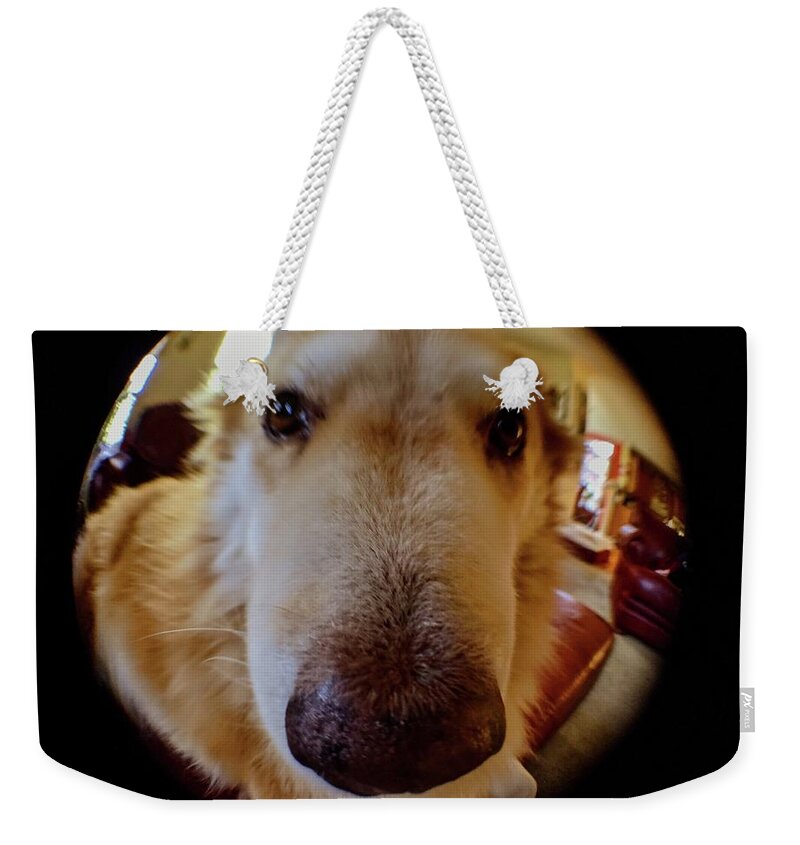  Weekender Tote Bag featuring the photograph Close In Doggy by Brad Nellis