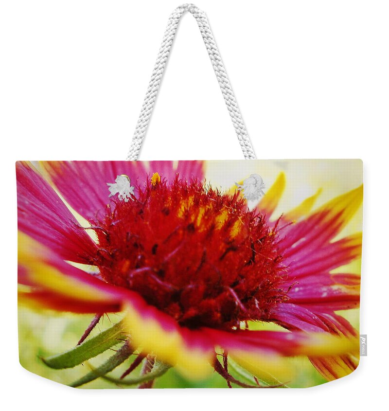 Wildflower Weekender Tote Bag featuring the photograph Close Up of Indian Blanket Flower by Gaby Ethington