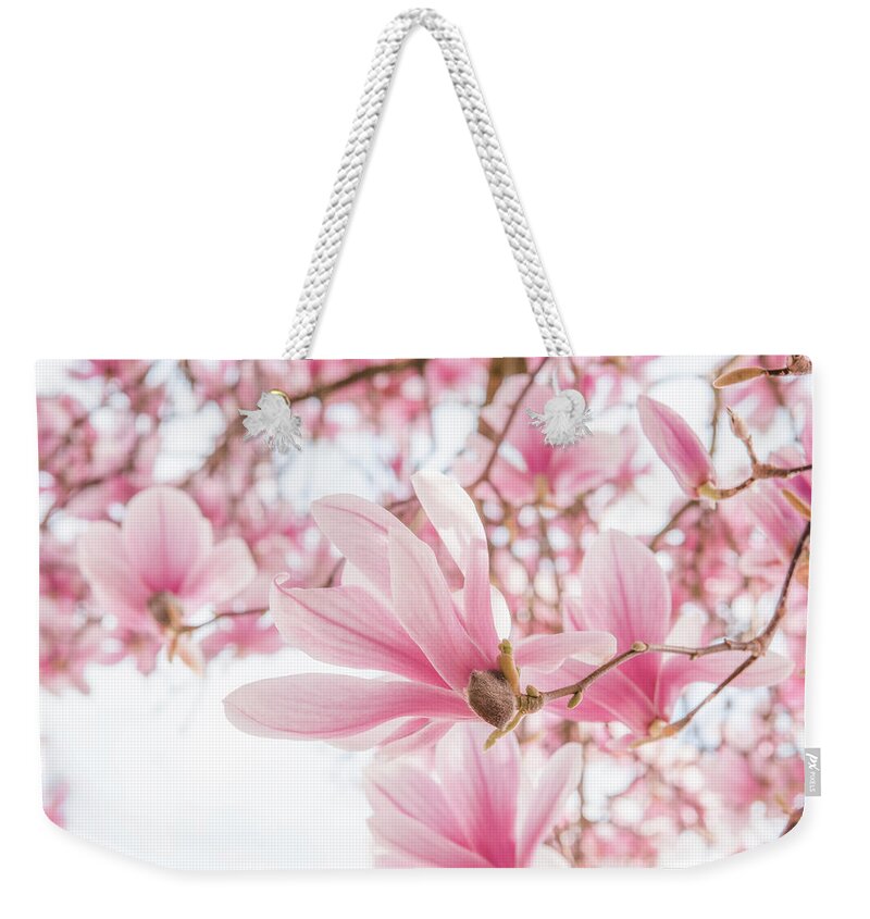 Magnolia Weekender Tote Bag featuring the photograph Close-up on Spring by Philippe Sainte-Laudy