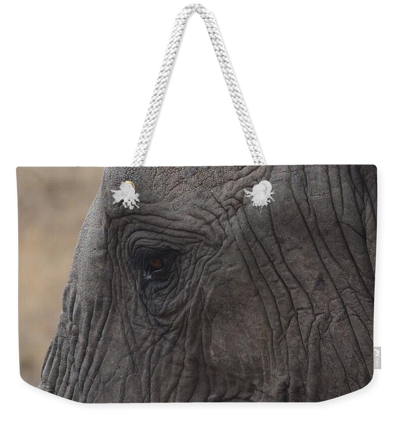 African Elephant Weekender Tote Bag featuring the photograph close up portrait of young african elephant head in wild, Kenya by Nirav Shah