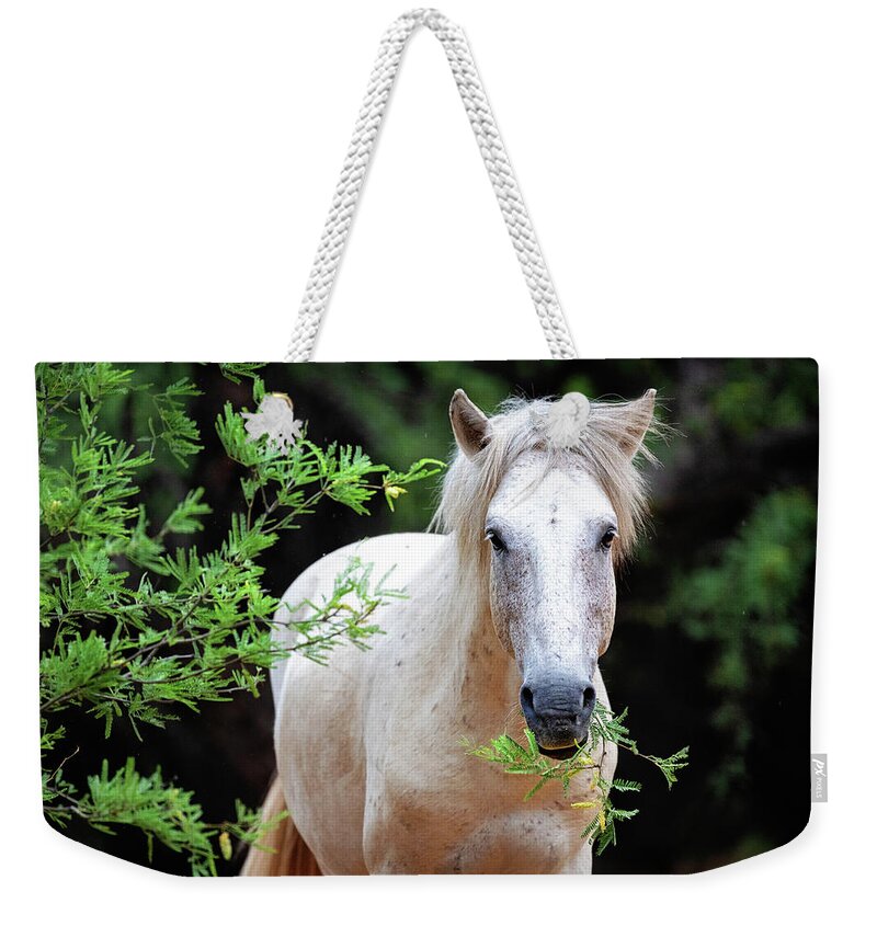 Horse Weekender Tote Bag featuring the photograph Closeup Beautiful White Wild Horse by Good Focused