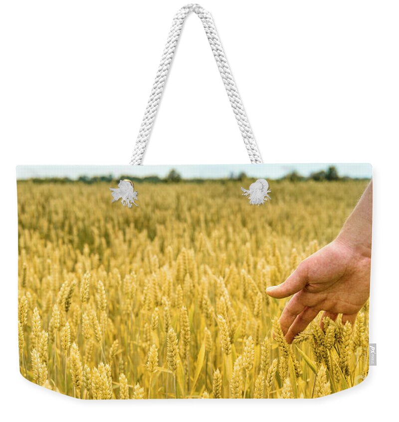 Wheat Weekender Tote Bag featuring the photograph Closeup of farmer's hand over wheat by Jelena Jovanovic
