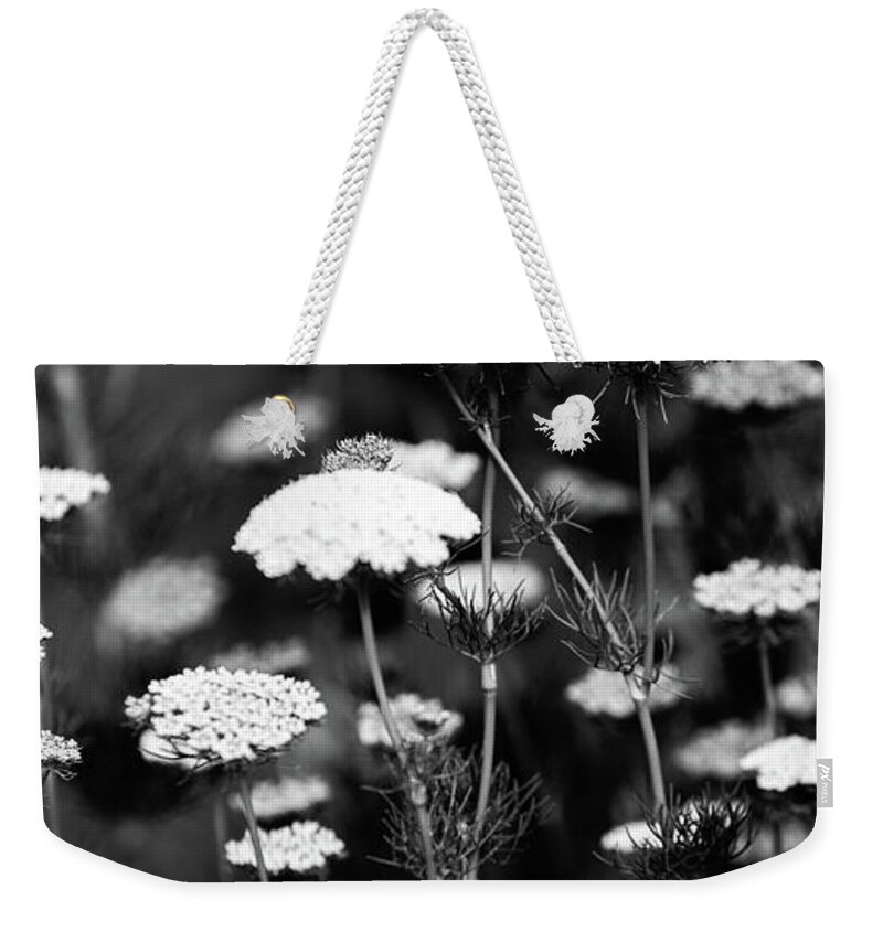 Abstract Weekender Tote Bag featuring the photograph Cloud Flower by Mike Fusaro