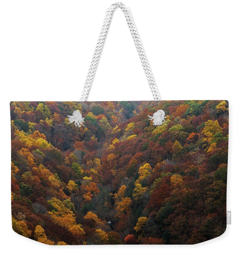 Cloudland Canyon Weekender Tote Bag featuring the photograph Cloudland Canyon - Georgia by Richard Krebs