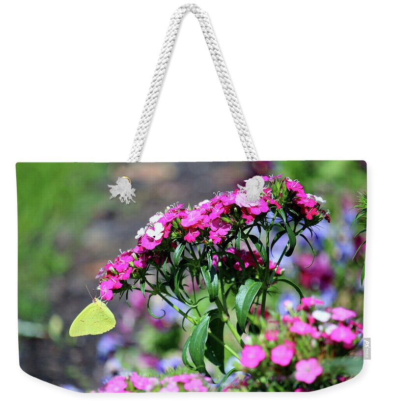 Yellow Weekender Tote Bag featuring the photograph Cloudless Sulphur Butterfly by Cynthia Guinn
