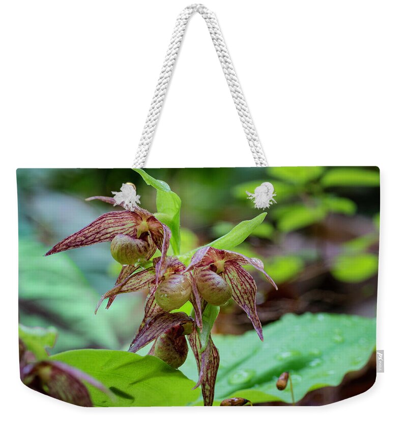 Betty Depee Weekender Tote Bag featuring the photograph Clustered Lady's-slipper by Betty Depee