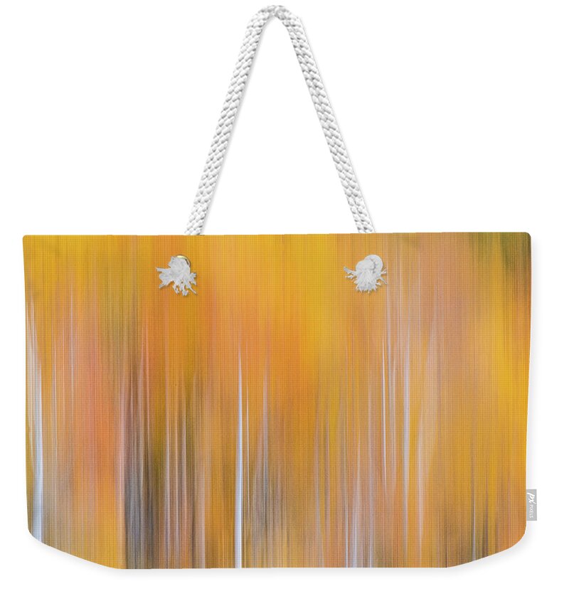 Abstract Weekender Tote Bag featuring the photograph CO Abstract 811646 by David Downs