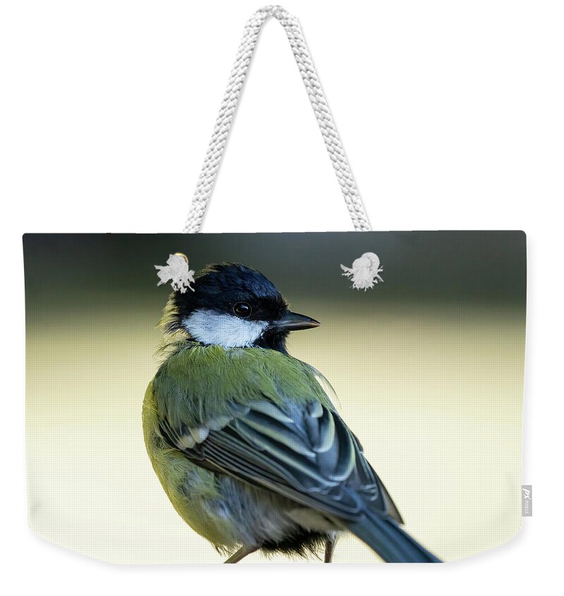 Coal Tit Weekender Tote Bag featuring the photograph Coal tit looking behind by Anges Van der Logt