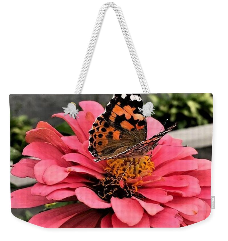 Butterfly. Zinnia. Flower Weekender Tote Bag featuring the photograph Collecting Nectar by Bruce Bley