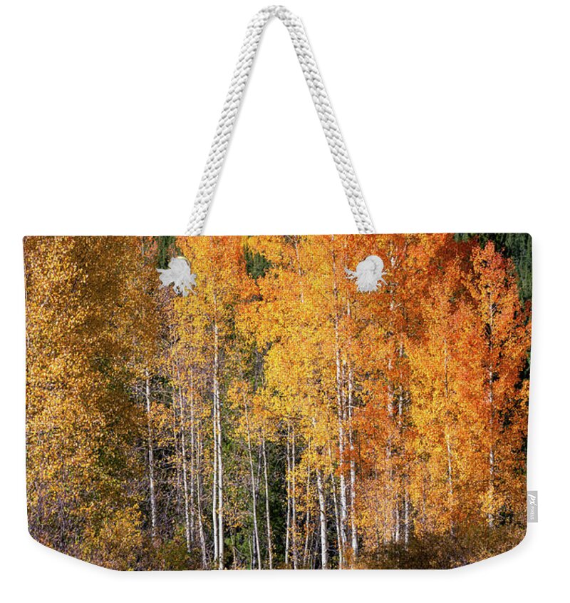 Abstract Weekender Tote Bag featuring the photograph Colorado Fall Colors by Alex Mironyuk